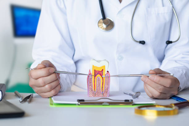 Best Same-Day Emergency Dental Services in Tishomingo, OK
